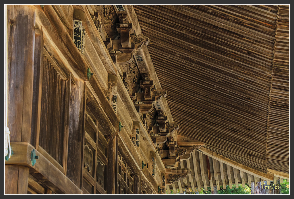 IMG_4542.jpg - 20160323 日本熊野古道健行