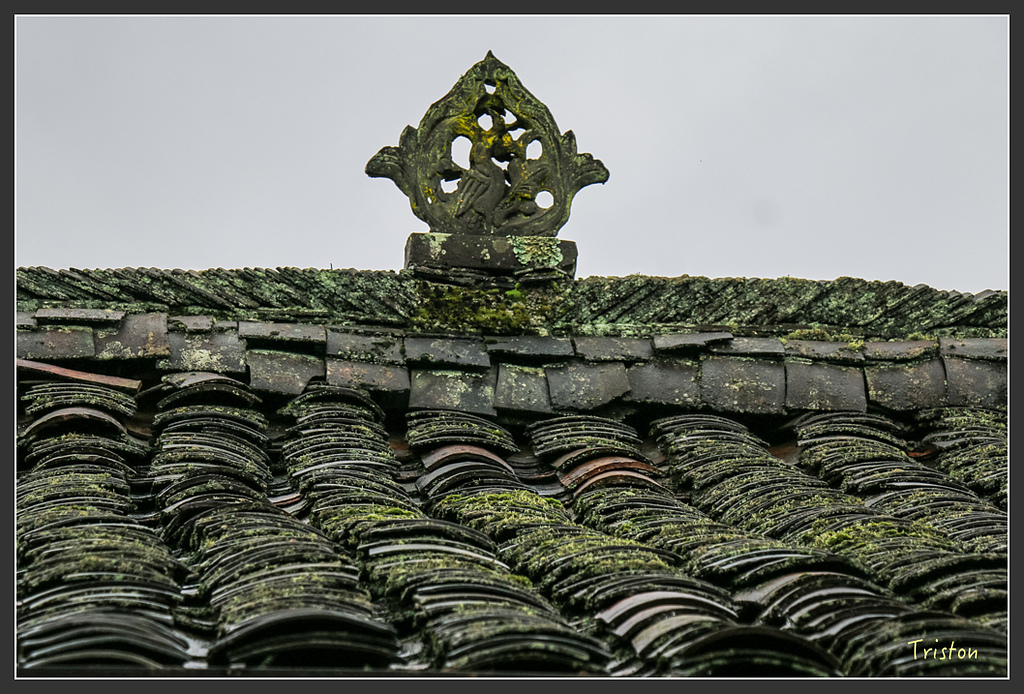 IMG_6639.jpg - 20160409 武夷山之旅