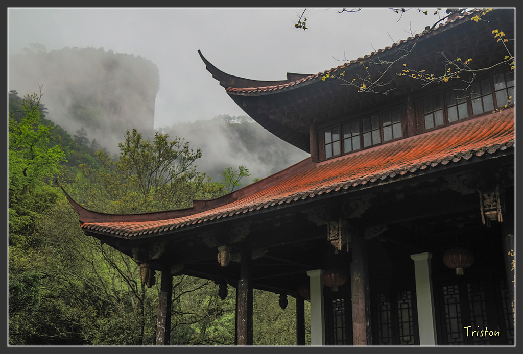 IMG_6475.jpg - 20160409 武夷山之旅