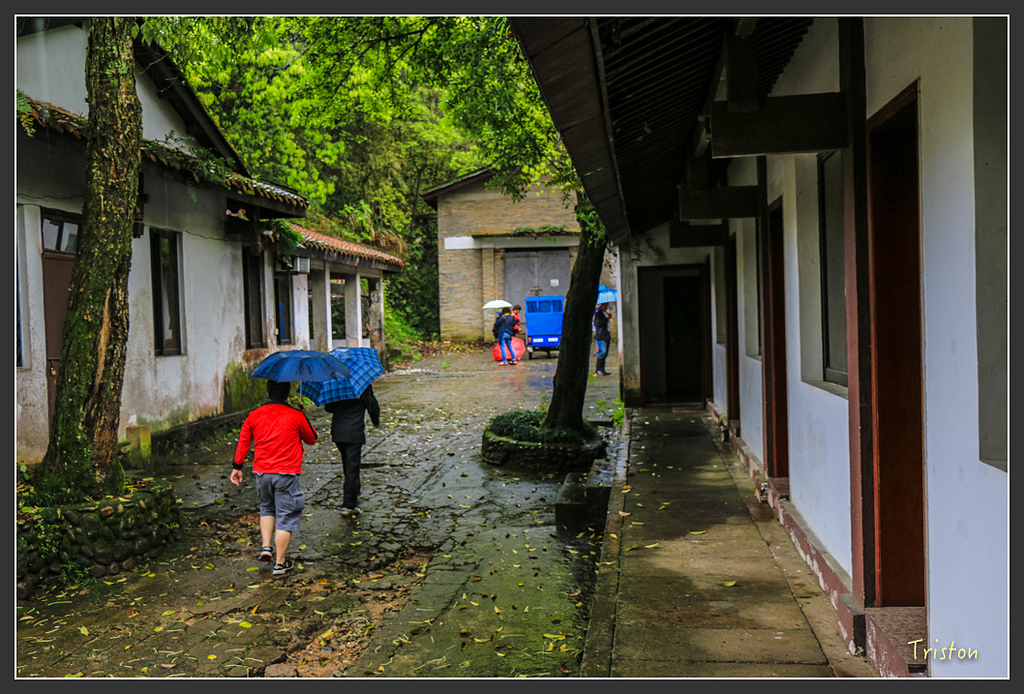 IMG_6393.jpg - 20160409 武夷山之旅