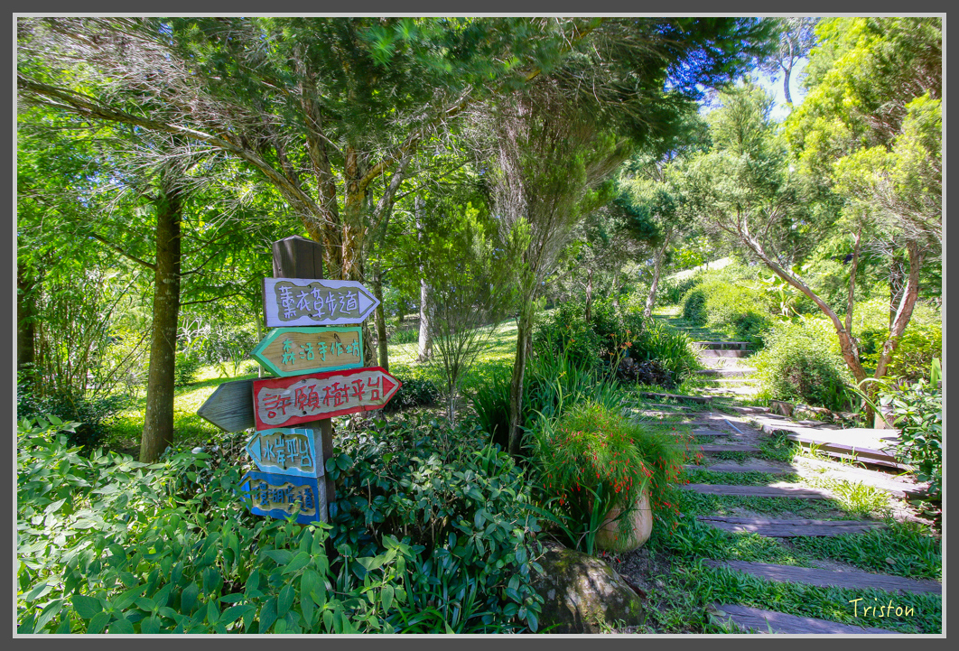 _MG_8880.jpg - 20160712 苗栗薰衣草森林