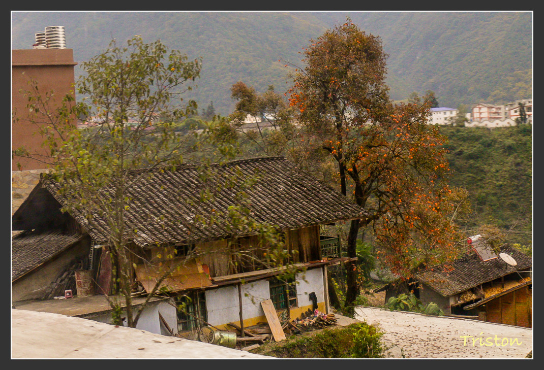 _MG_2754.jpg - 20161013 稻城亞丁