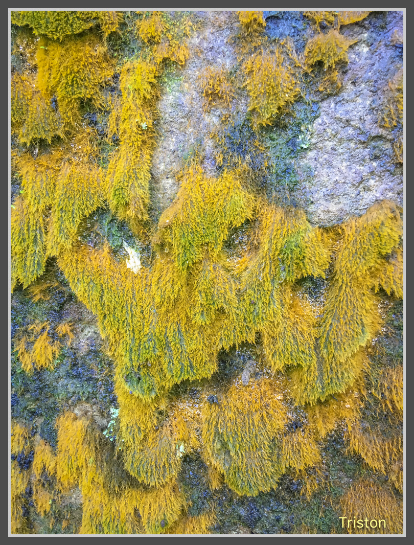 IMG_5109.jpg - 201161113 皇帝殿東西峰