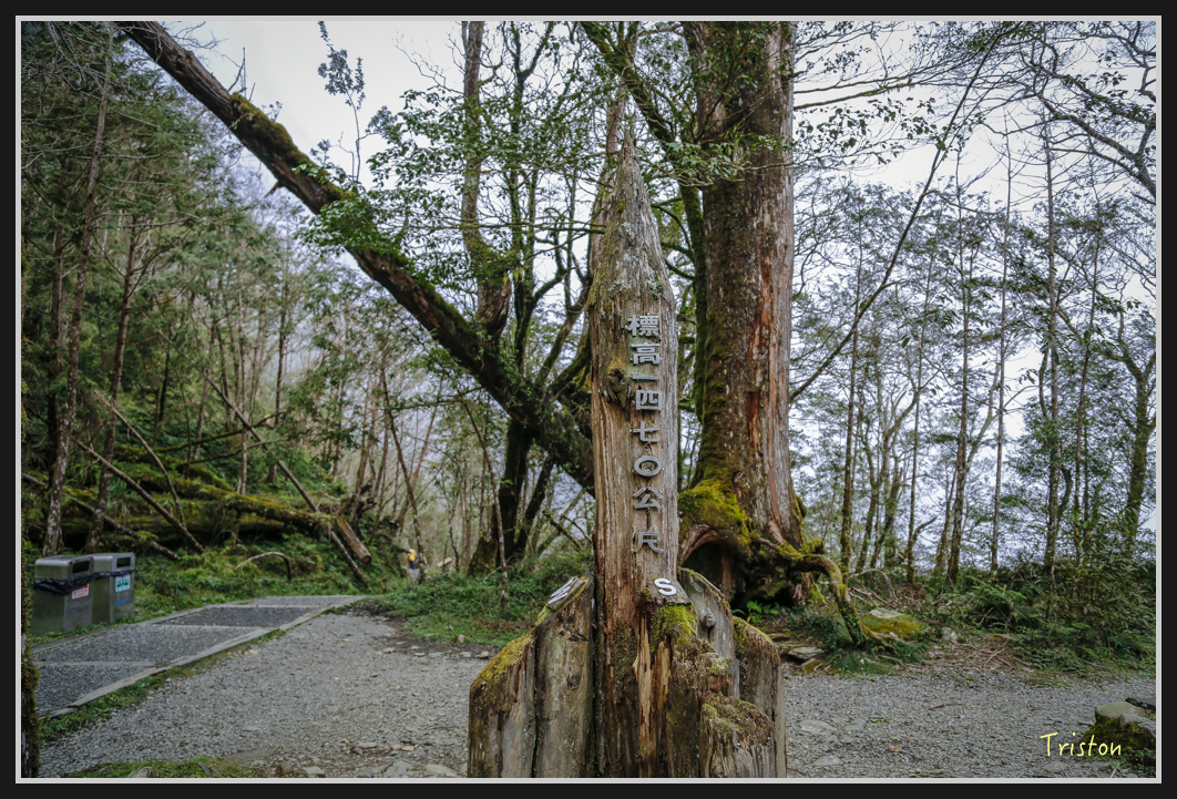 00131.jpg - 20161231 明池 神木園