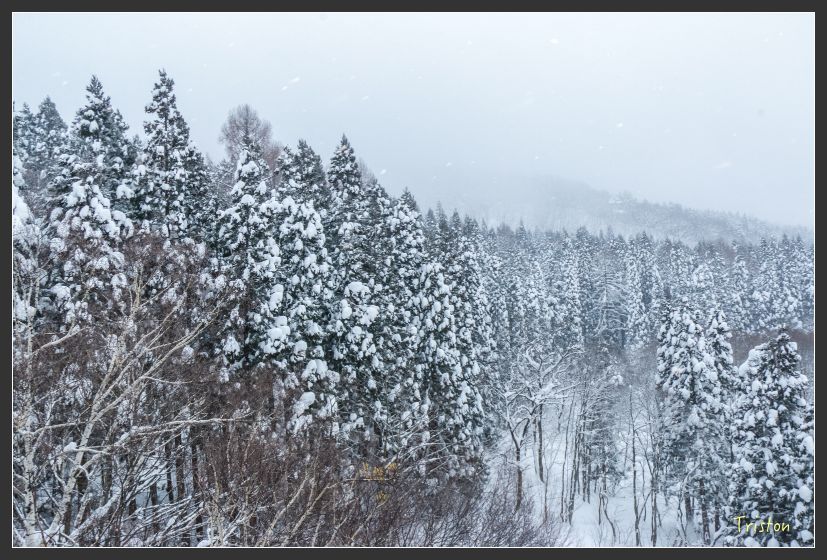 2016ZAO-01058.jpg - 20160131 日本藏王溫泉滑雪親子行