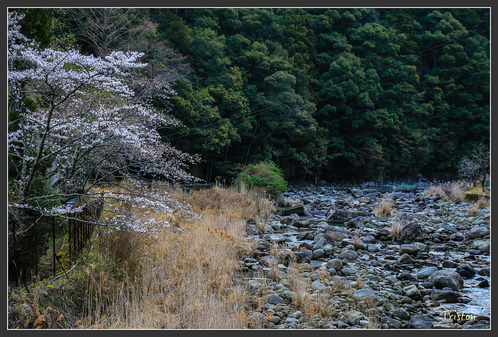 IMG_5297.jpg - 20160323 日本熊野古道健行