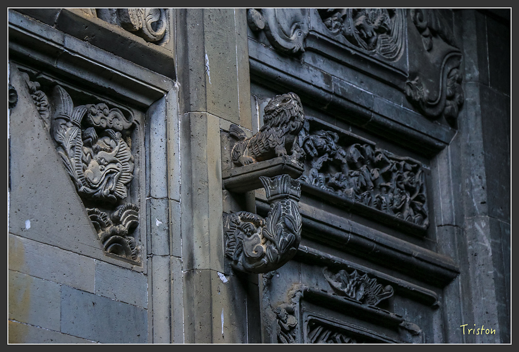 IMG_6640.jpg - 20160409 武夷山之旅