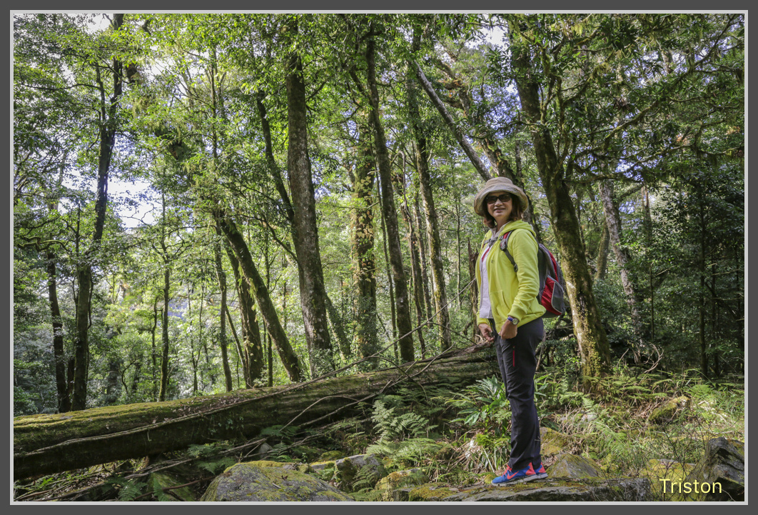 JH1A0529.jpg - 20161105 大雪山