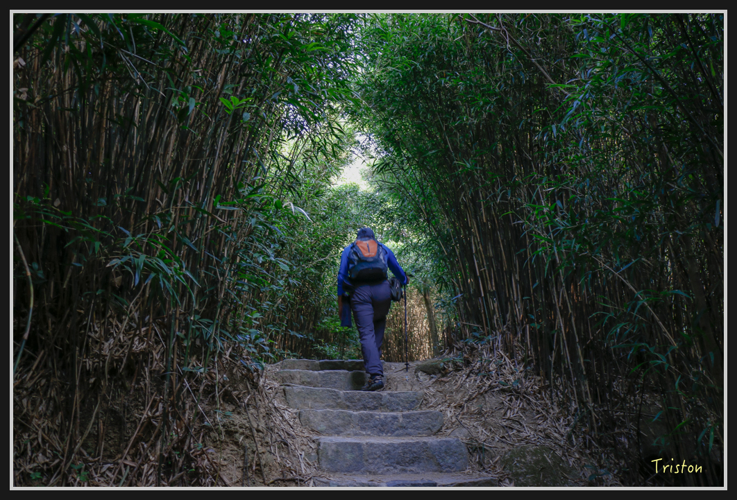 00111.jpg - 20170107 香港健行