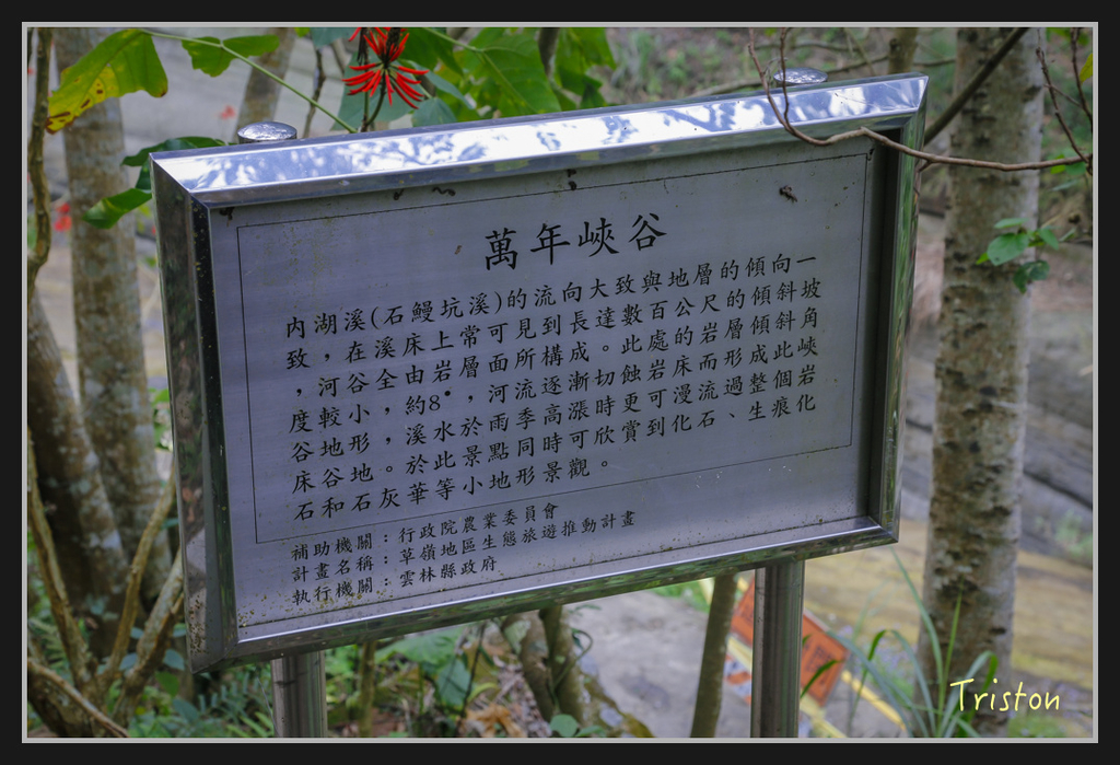 _H1A2449.jpg - 20170311 草嶺