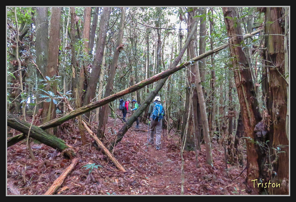 IMG_1385.jpg - 20170318 守關山、守城大山