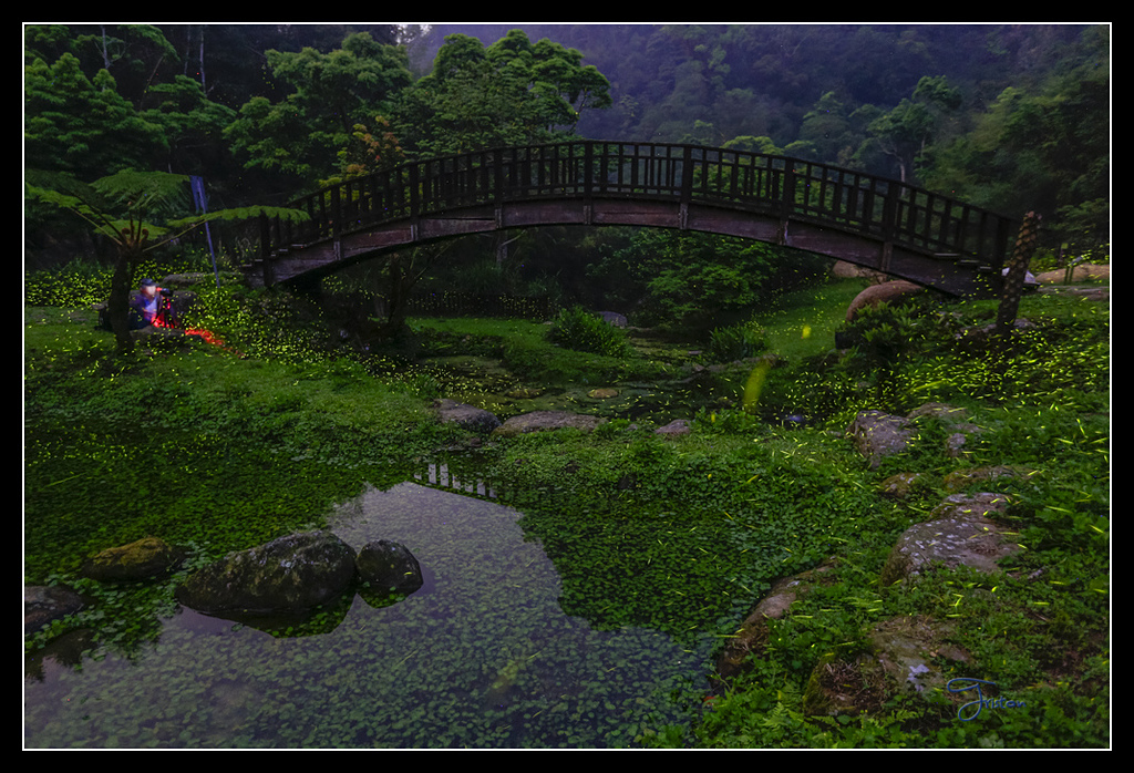 _H1A3821.jpg - 20170425 阿里山+圓潭螢火蟲