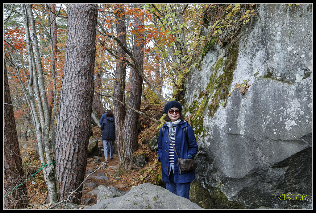 _H1A1157.jpg - 20171103 日本只見線、會津若松五色沼、昭和記念公園賞紅葉