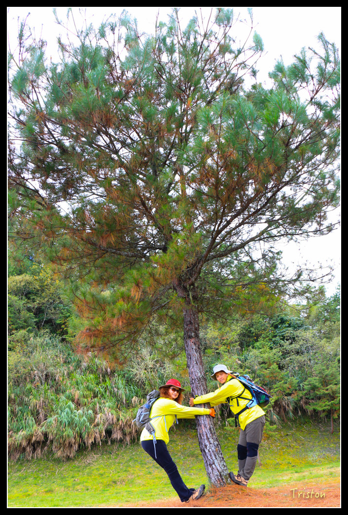 IMG_9386.jpg - 20151130 小笠原山、對高岳