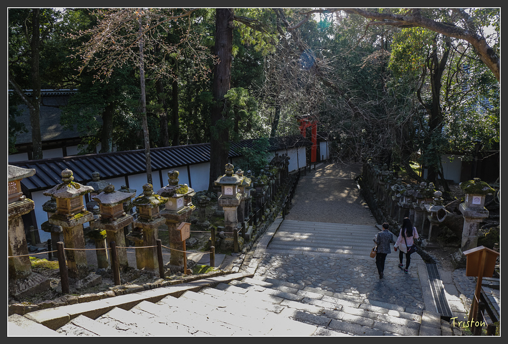 IMG_4087.jpg - 20160323 日本熊野古道健行