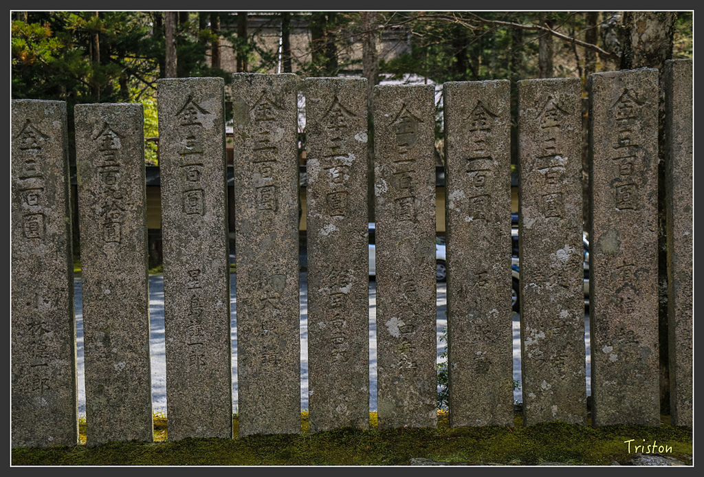 IMG_4540.jpg - 20160323 日本熊野古道健行