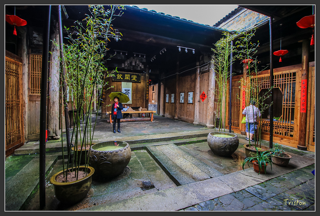 IMG_6681.jpg - 20160409 武夷山之旅