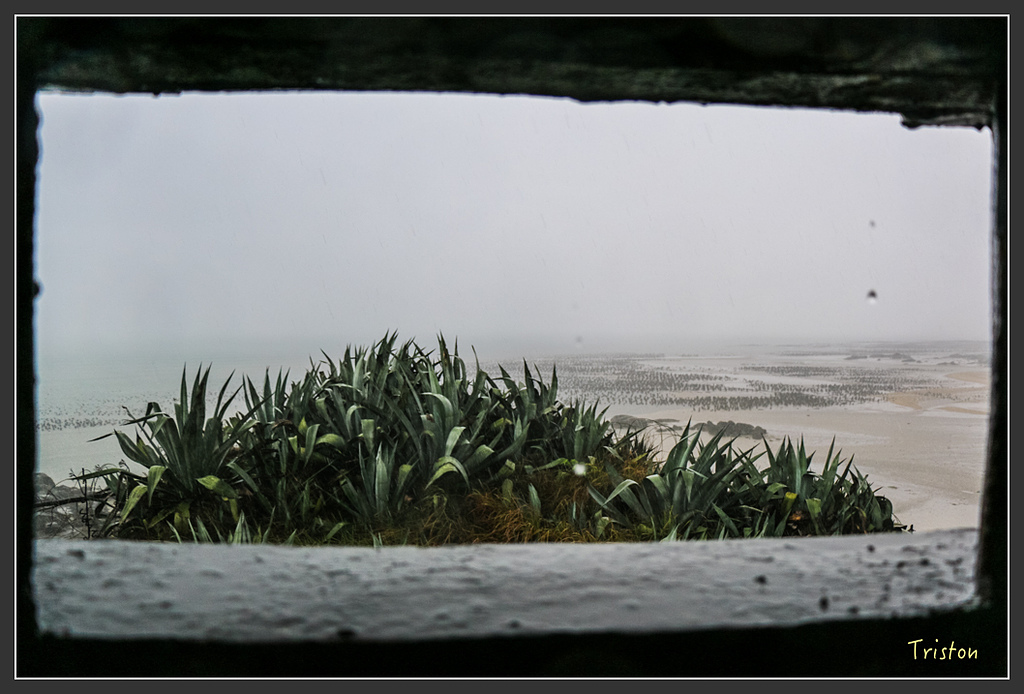 IMG_6936.jpg - 20160409 武夷山之旅