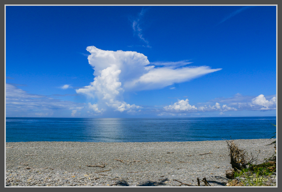 _MG_8516.jpg - 20160618 阿朗壹古道