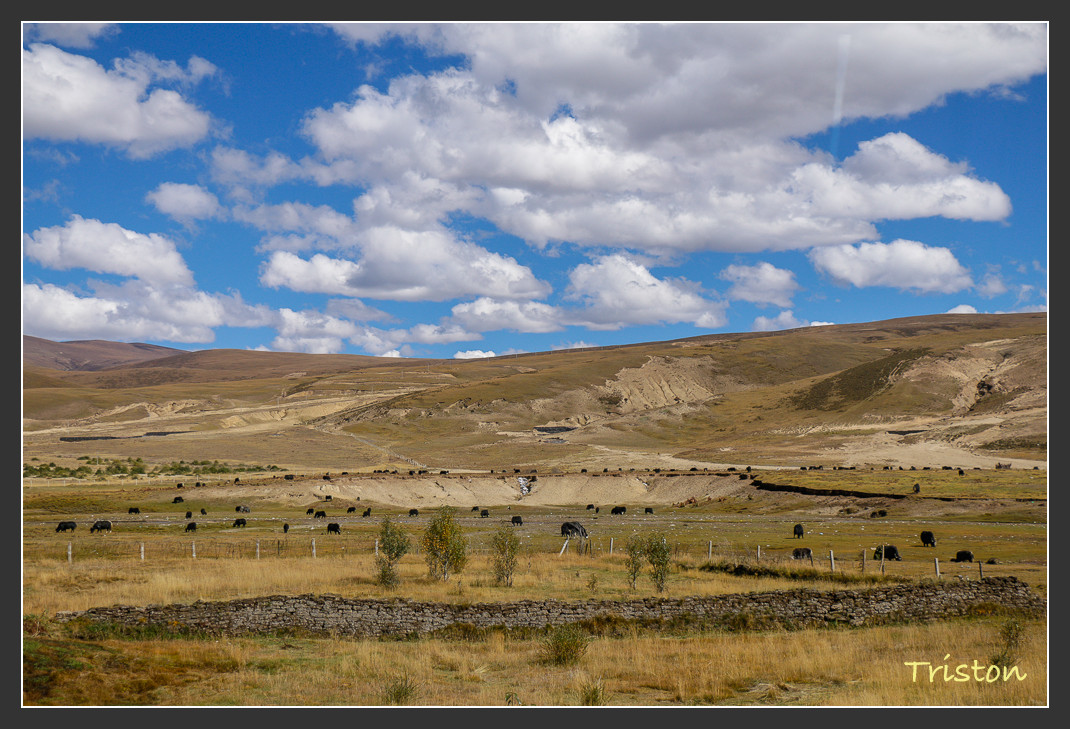 _MG_1532.jpg - 20161013 稻城亞丁