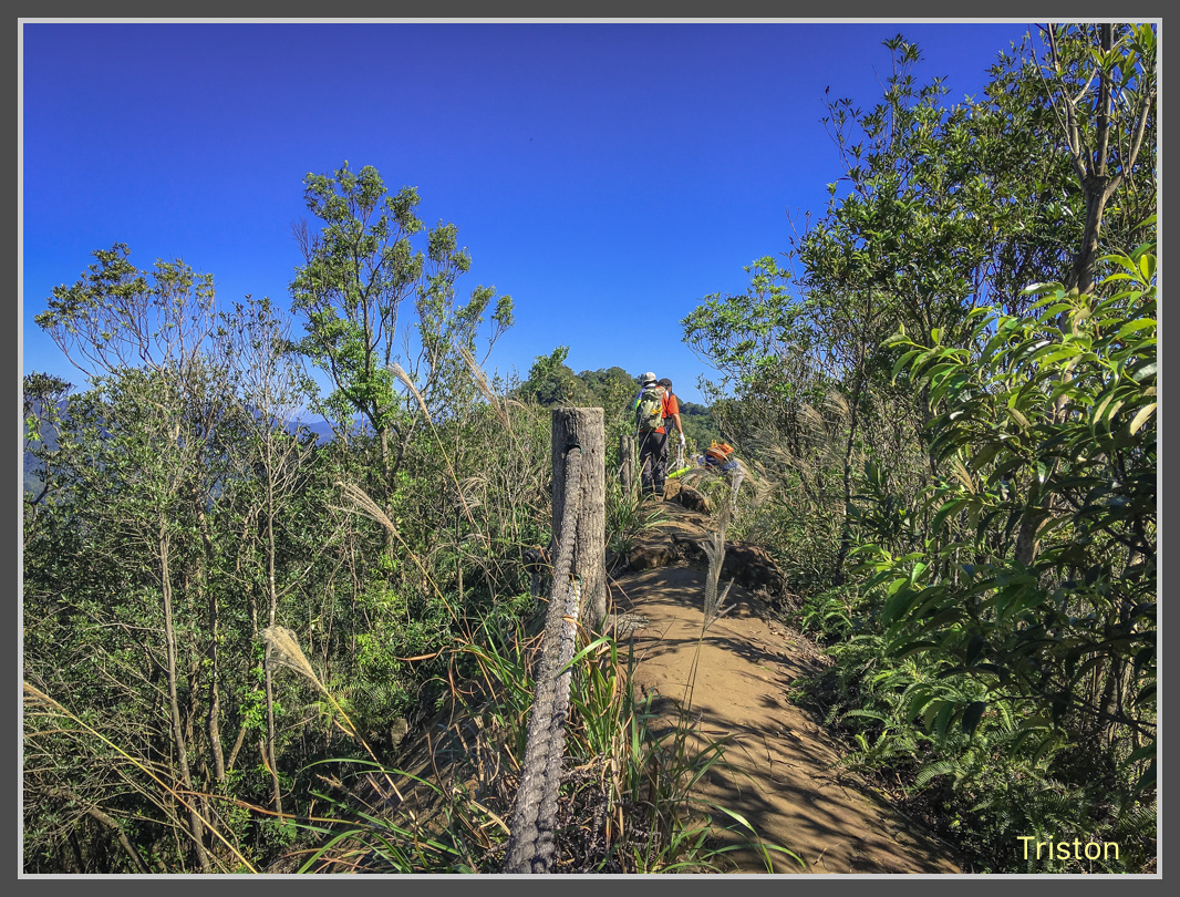 IMG_6387.jpg - 201161113 皇帝殿東西峰