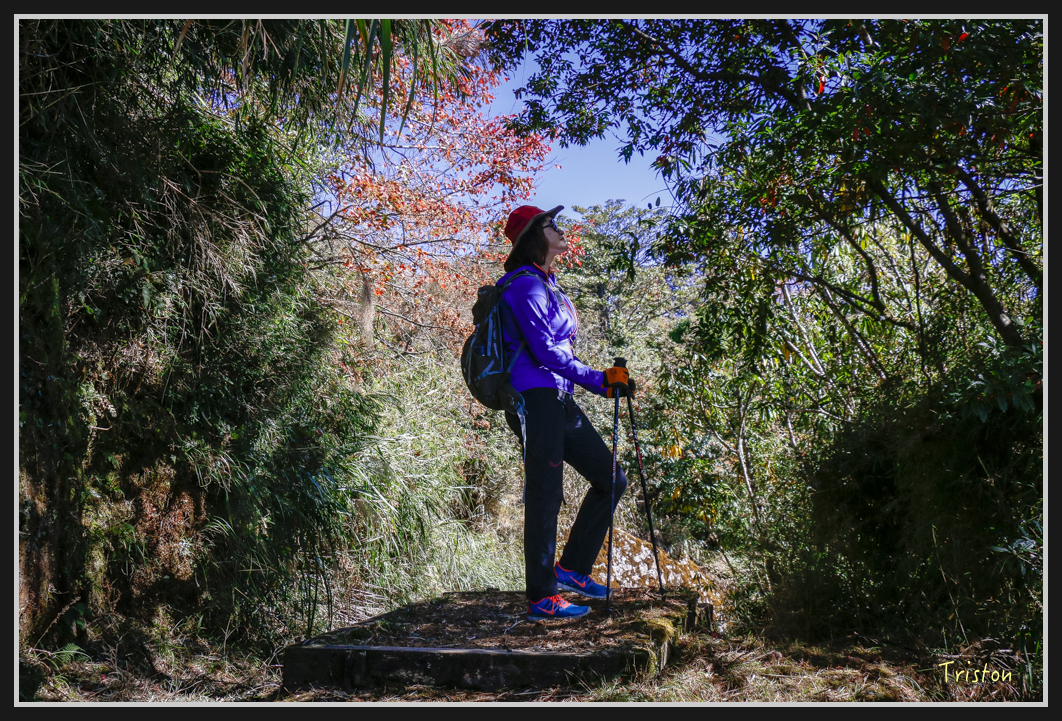 _MG_0160.jpg - 20161226 大塔山