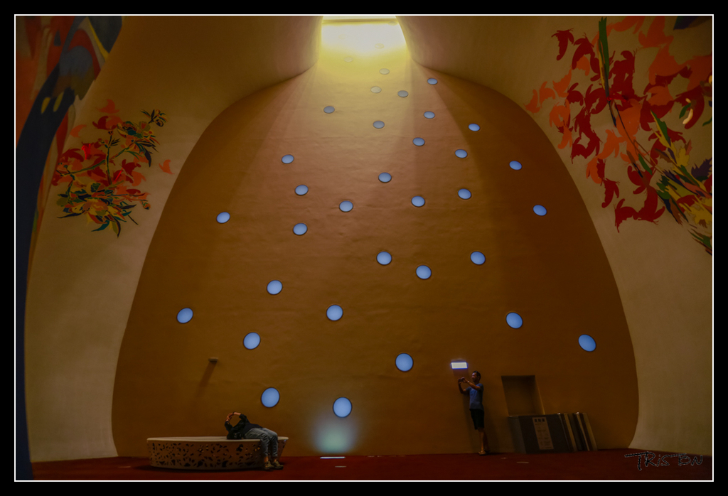 _H1A4361.jpg - 20170520 台中輕旅行-審記新村、忠信市場、國家歌劇院