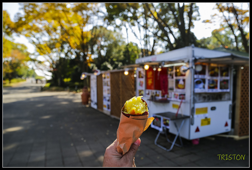 _H1A1623.jpg - 20171103 日本只見線、會津若松五色沼、昭和記念公園賞紅葉