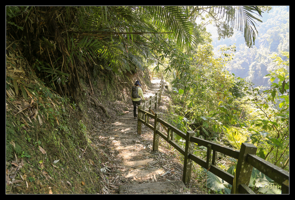 JH1A9836.jpg - 20151005 竹坑溪步道