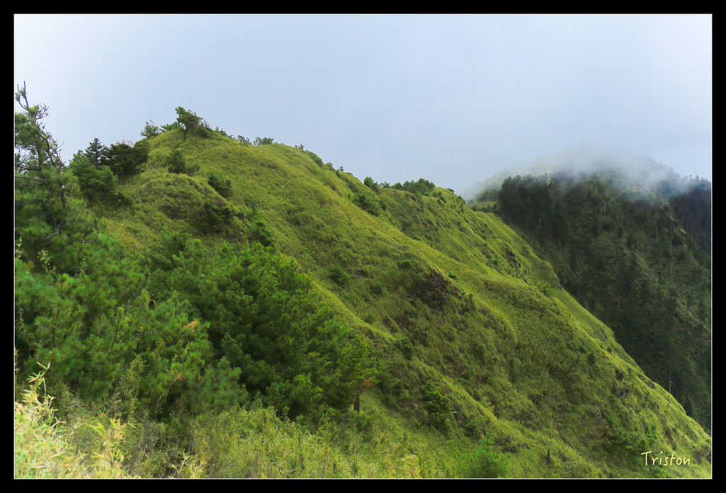 IMG_8644.jpg - 20151017 郡大林道、望鄉山、郡大山