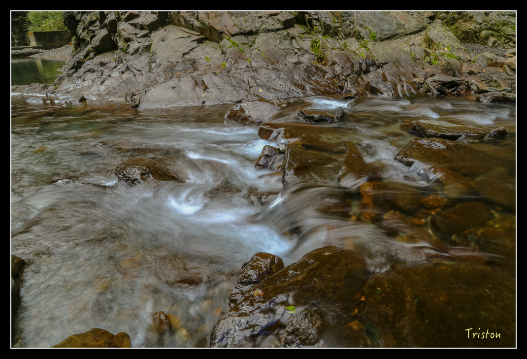 JH1A0793.jpg - 20151205 合歡溪步道、108K楓之谷