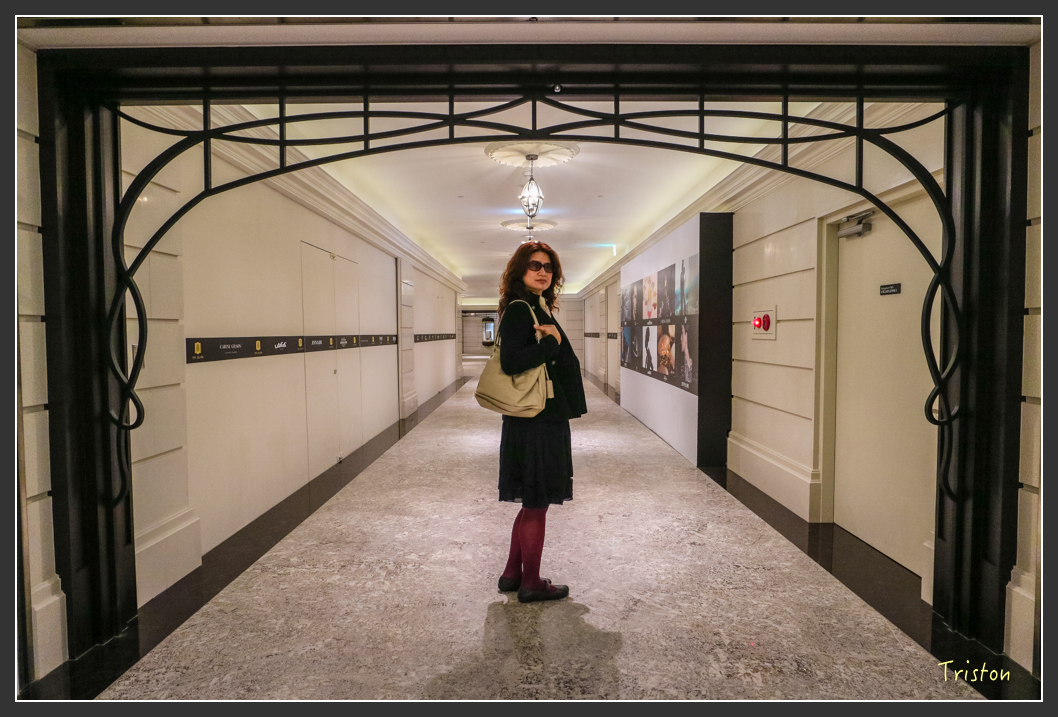 IMG_1636.jpg - 20160210 文華東方和W Hotel