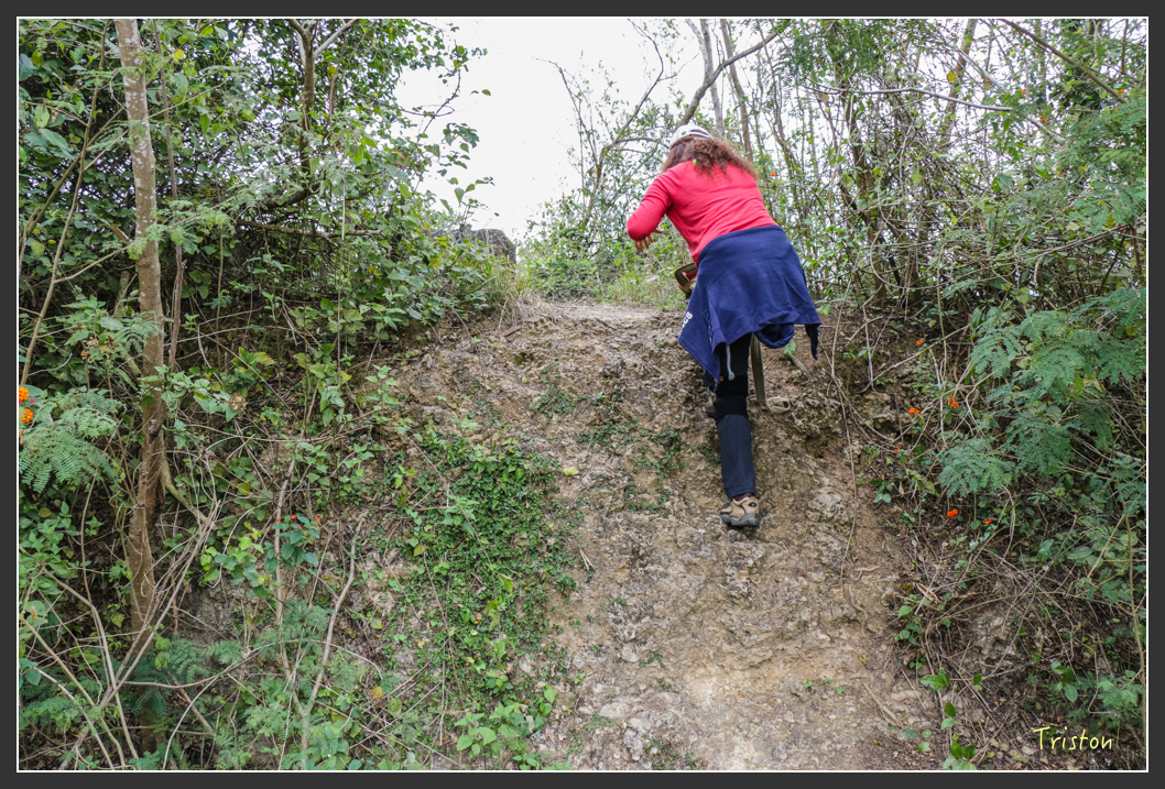 IMG_3196.jpg - 20160220 小崗山健行步道