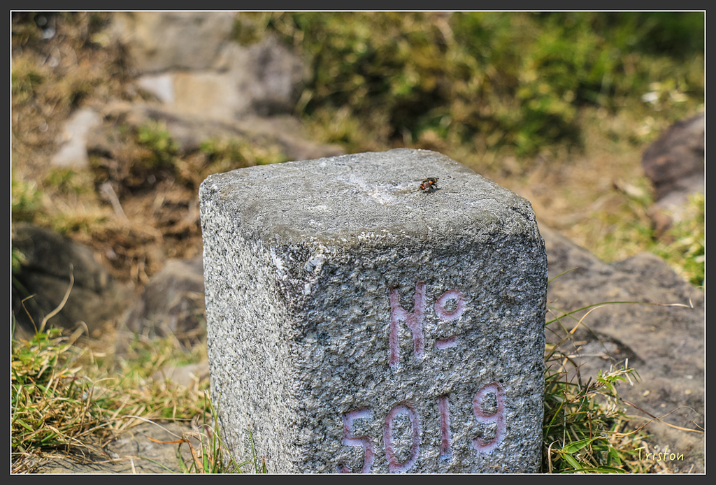 IMG_6271.jpg - 20160402 鹿林麟趾東埔山
