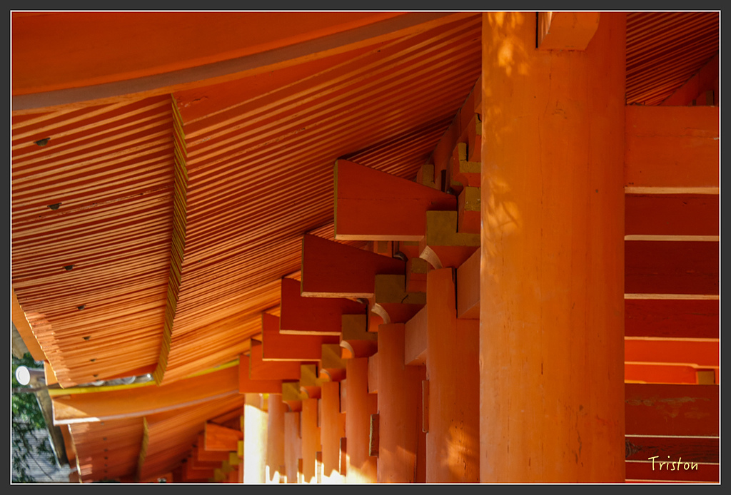 IMG_4091.jpg - 20160323 日本熊野古道健行