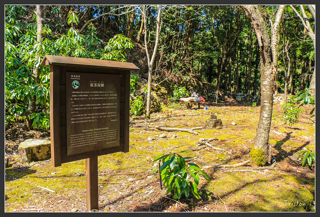 IMG_5165.jpg - 20160323 日本熊野古道健行