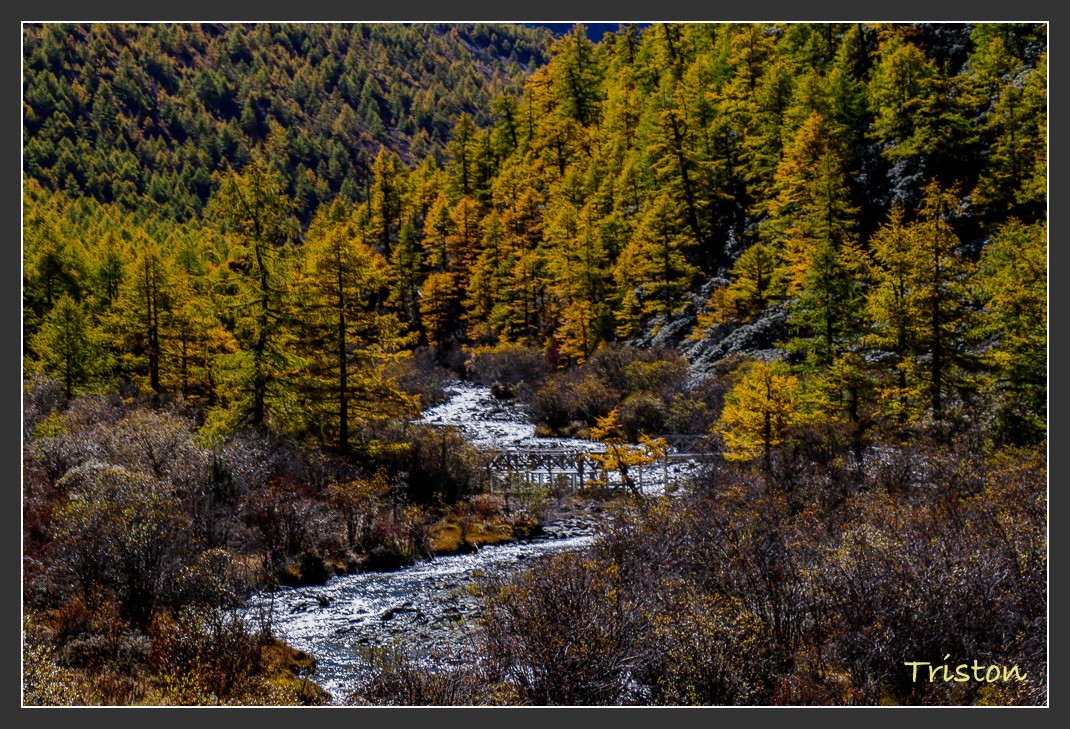 _MG_1674.jpg - 20161013 稻城亞丁