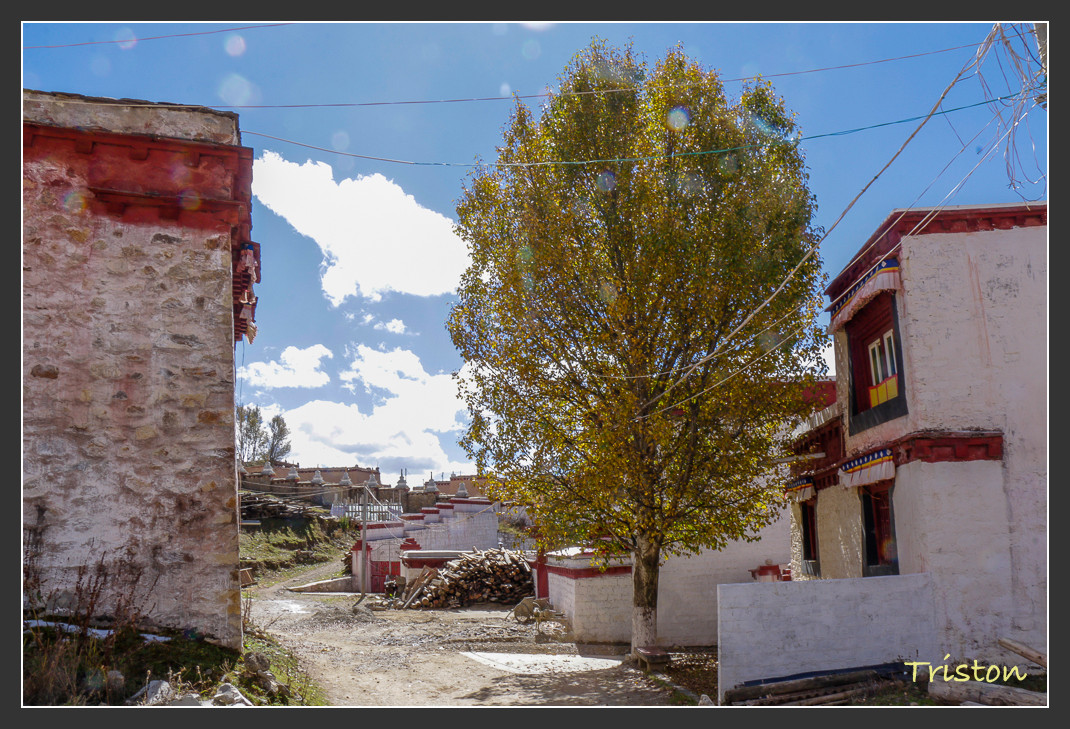 _MG_1517.jpg - 20161013 稻城亞丁