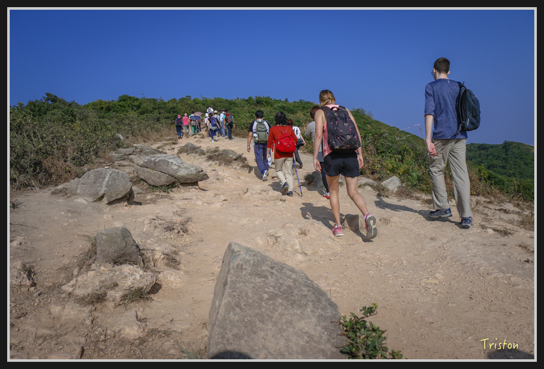 00163.jpg - 20170107 香港健行