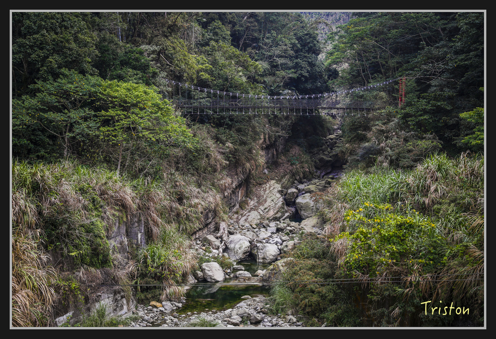 _H1A2488.jpg - 20170311 草嶺