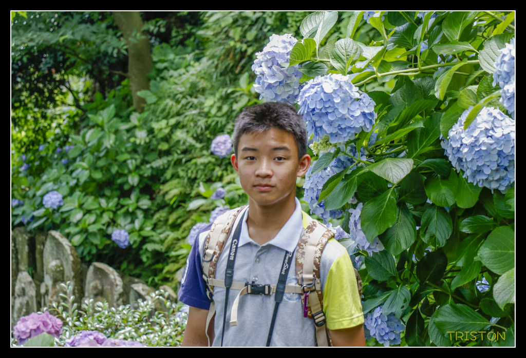 _MG_1487.jpg - 20170702 靜岡東海道之旅
