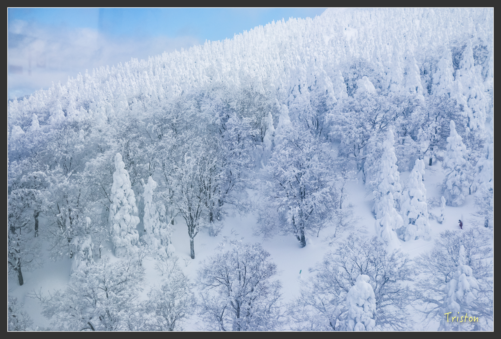 2016ZAO-01742.jpg - 20160131 日本藏王溫泉滑雪親子行