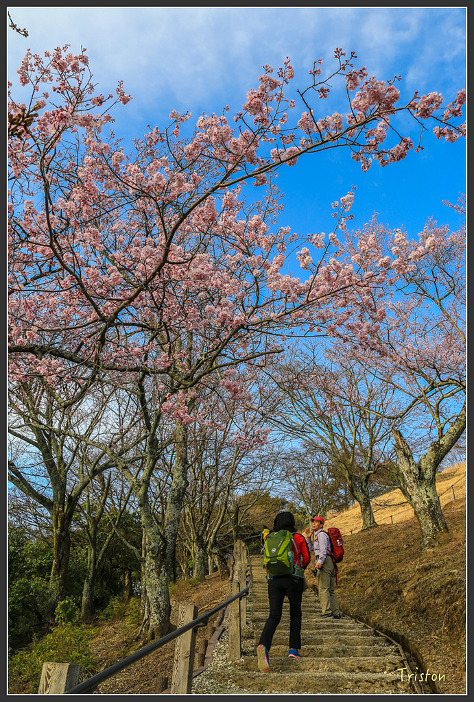 IMG_4145.jpg - 20160323 日本熊野古道健行