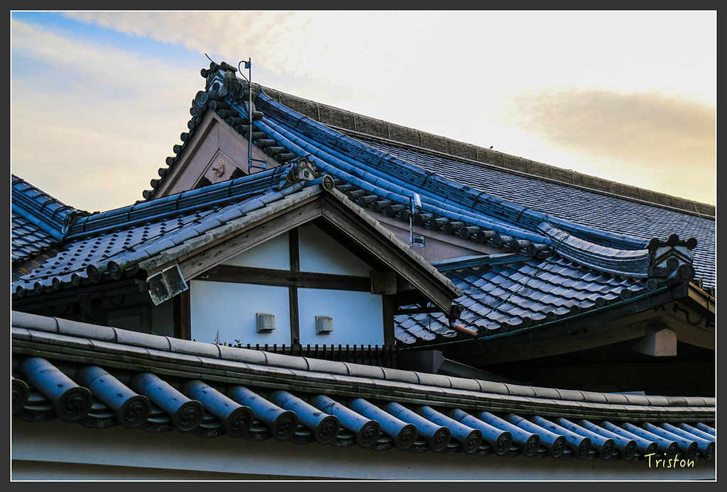 IMG_4222.jpg - 20160323 日本熊野古道健行