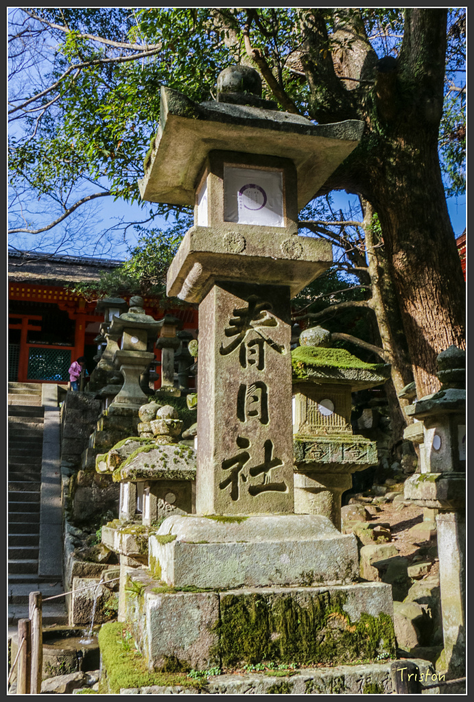 IMG_4054.jpg - 20160323 日本熊野古道健行