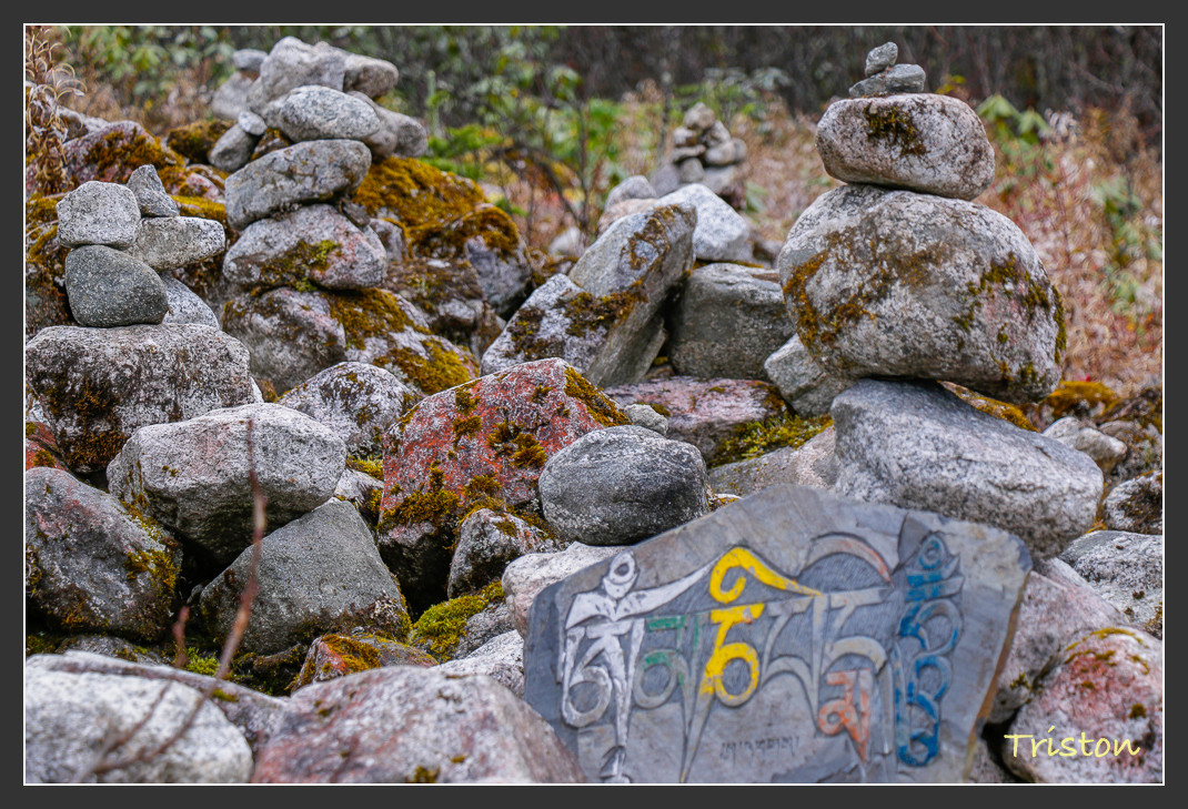 _MG_2680.jpg - 20161013 稻城亞丁