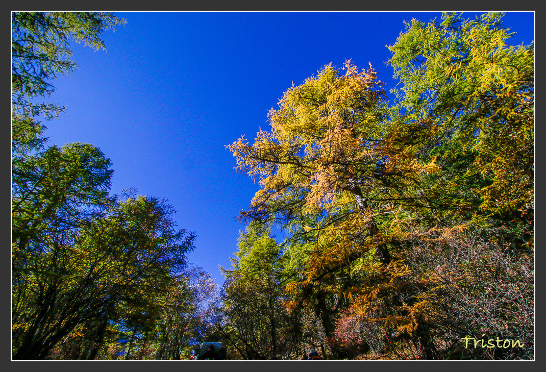 _MG_2035.jpg - 20161013 稻城亞丁