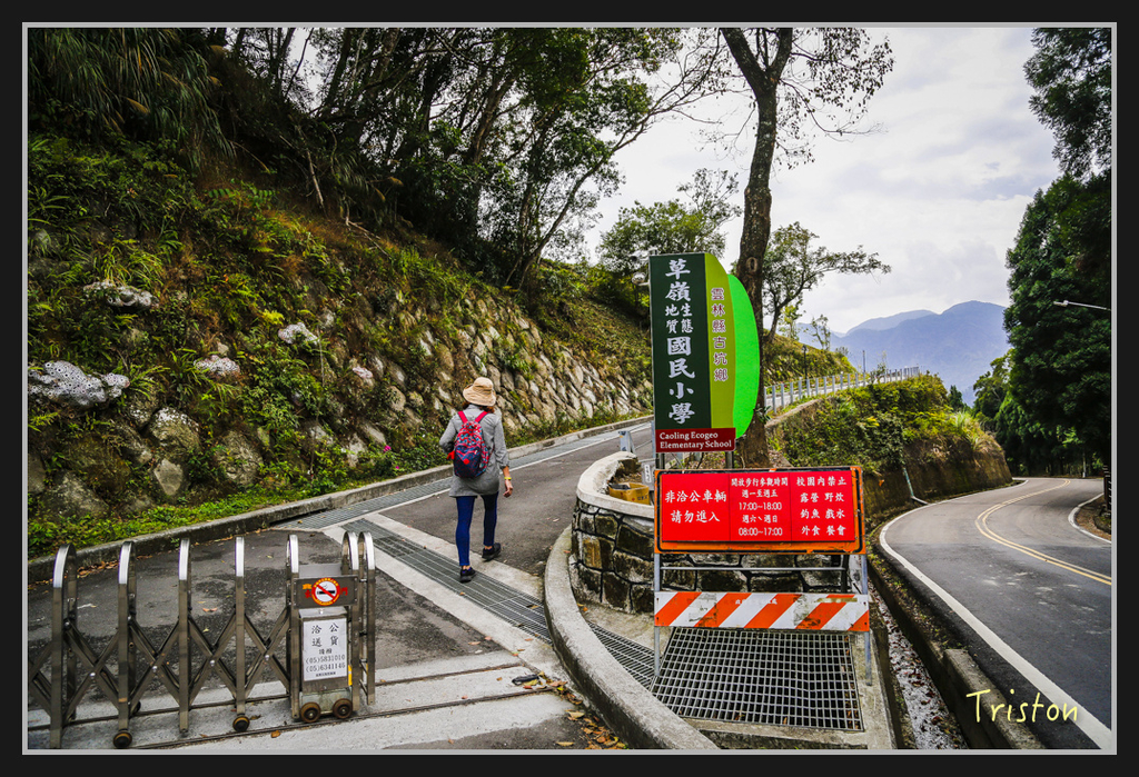 _H1A2489.jpg - 20170311 草嶺