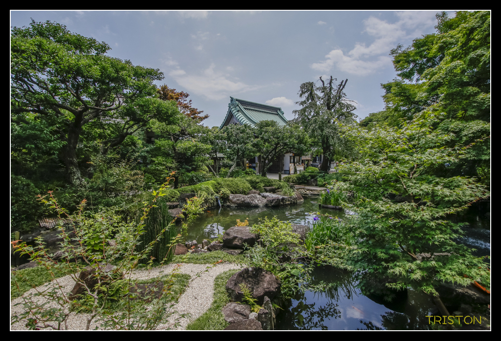 _MG_1488.jpg - 20170702 靜岡東海道之旅