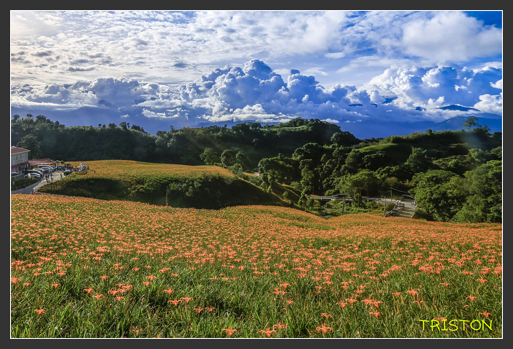 _H1A6637.jpg - 20170901 戀戀台九線